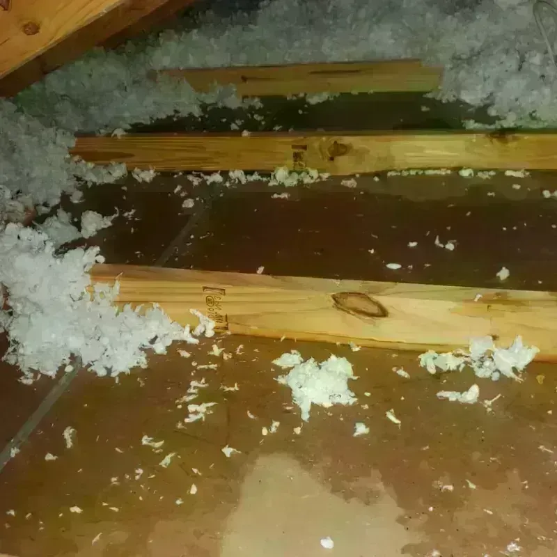 Attic Water Damage in Hennessey, OK