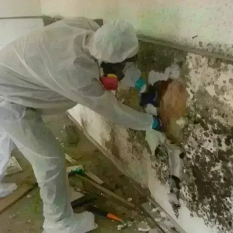 Mold Remediation and Removal in Hennessey, OK